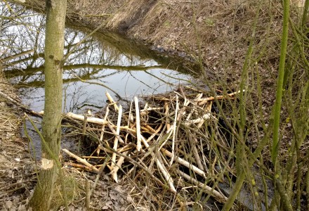 Orlicz i okolice – świąteczny spacer