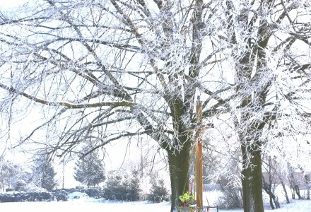 Ciotcza zimową porą…