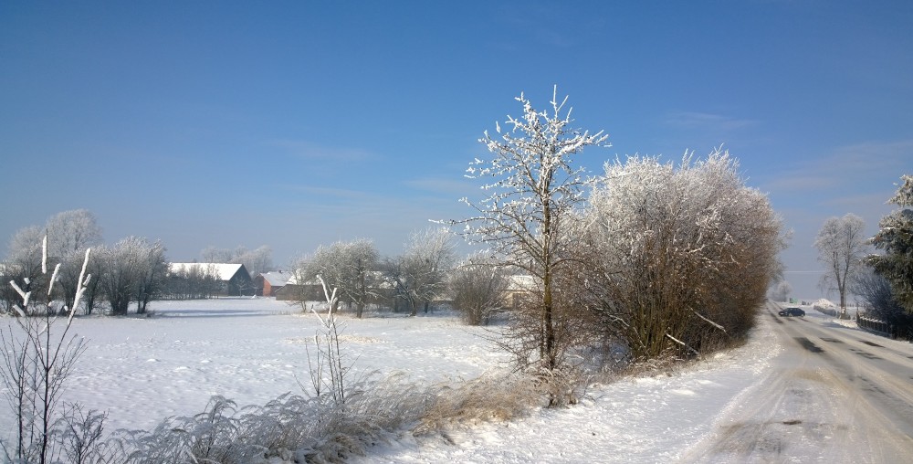 WP_20160117_12_08_01_Pro
