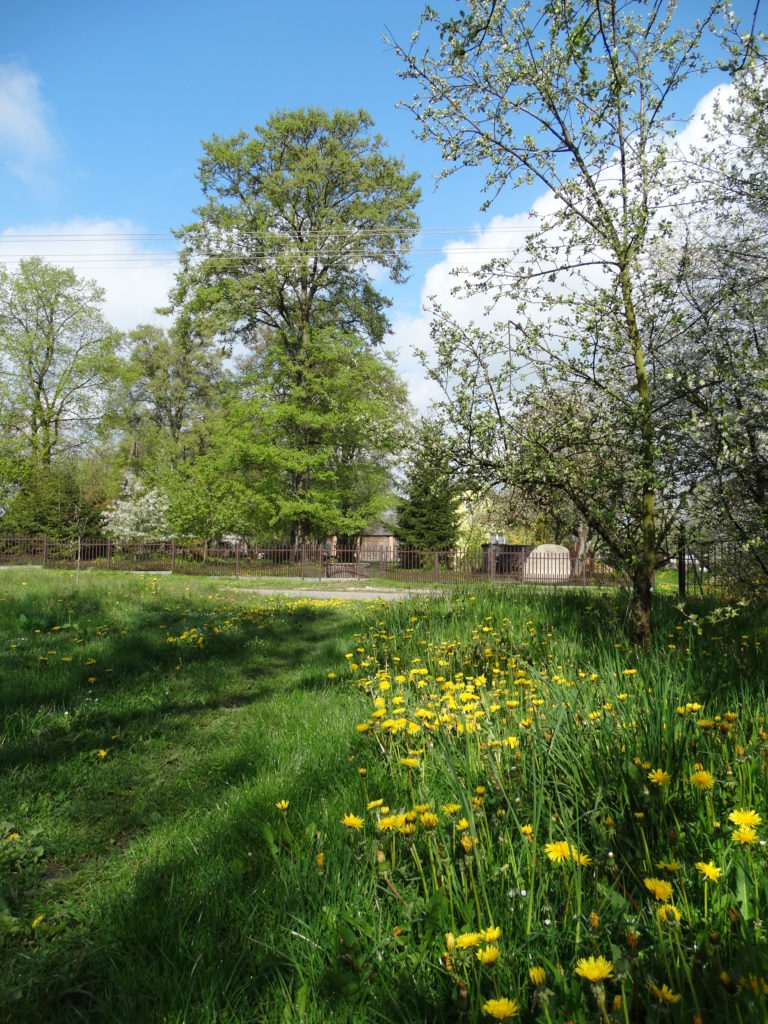 Wiosna w Sosnówce – zdjęcia Ryszard Kozak