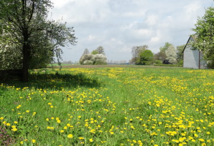 Wiosna w Sosnówce – zdjęcia Ryszard Kozak