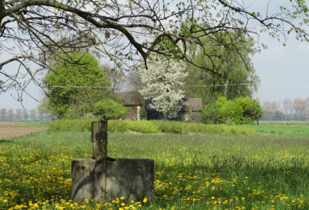 Wiosna w Sosnówce – zdjęcia Ryszard Kozak