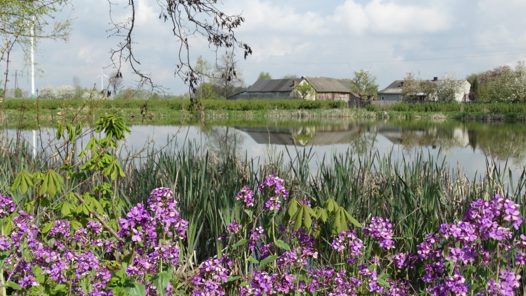 Wiosna w Sosnówce – zdjęcia Ryszard Kozak