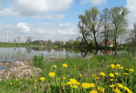 Wiosna w Sosnówce – zdjęcia Ryszard Kozak