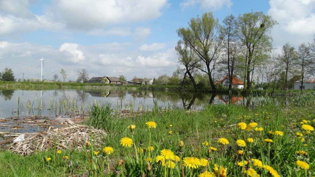 Wiosna w Sosnówce – zdjęcia Ryszard Kozak