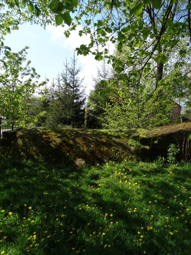 Wiosna w Sosnówce – zdjęcia Ryszard Kozak